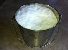 Bucket of fresh goat milk