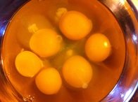 Comparison of egg yolk sizes