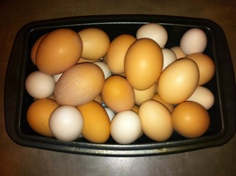 Container full of eggs