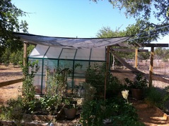Greenhouse Example